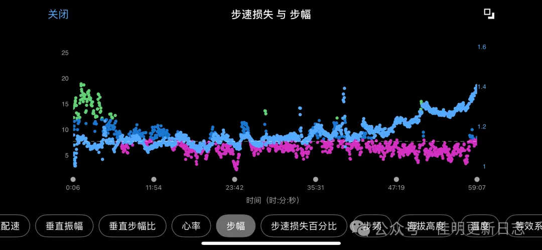 步速损失与步幅