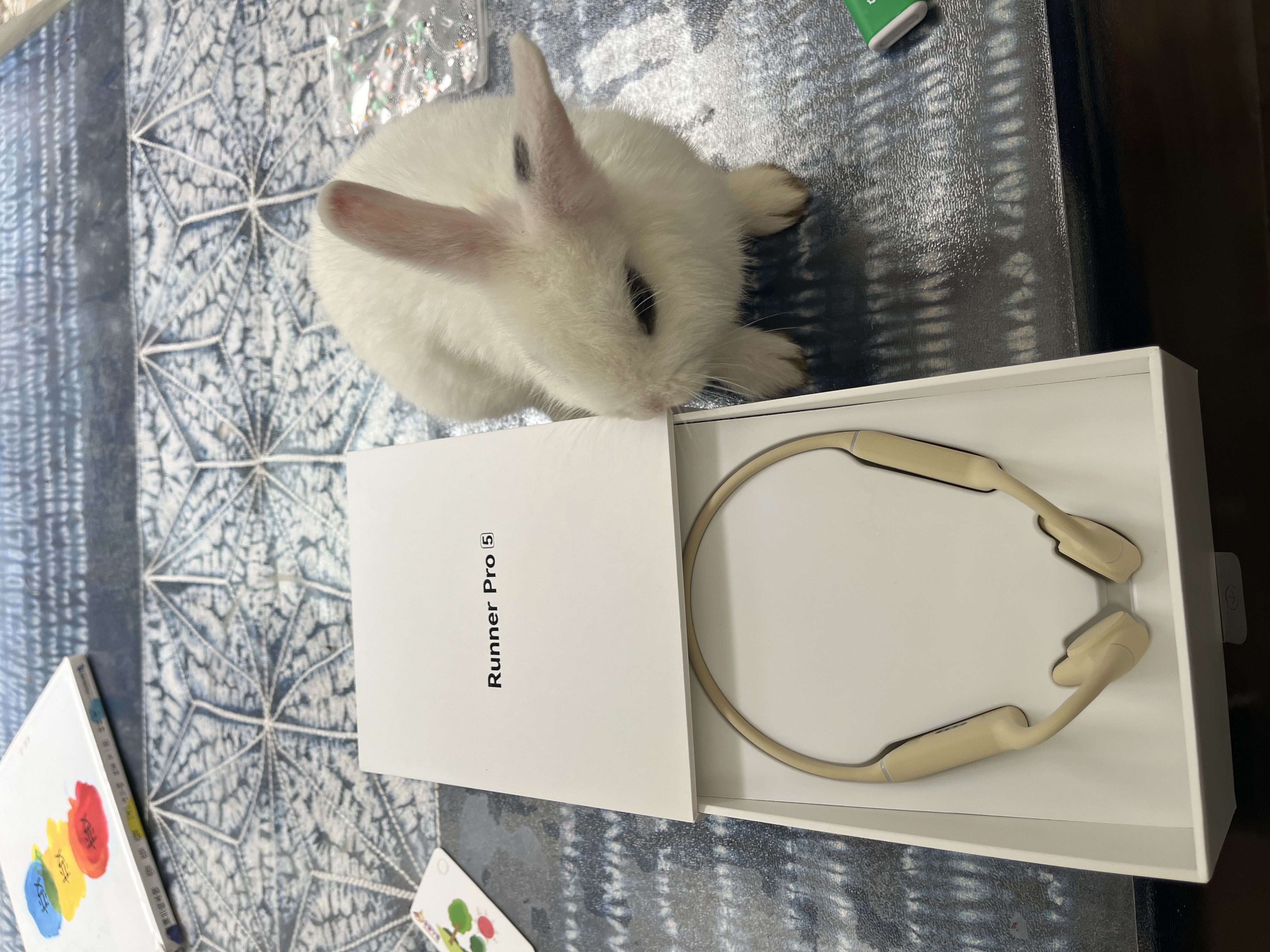 🐰🐰看起来也很喜欢